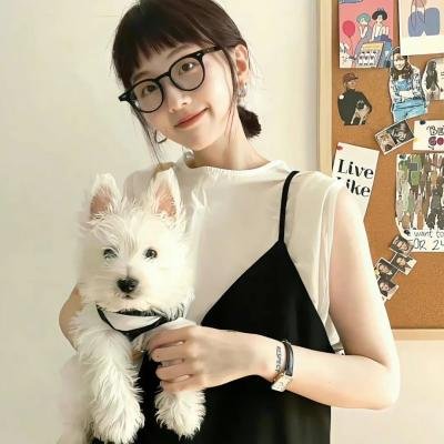 风味人间第三季